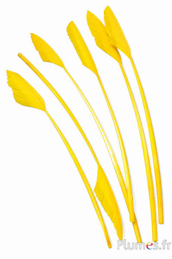 Zwaan pijl - 29-34 cm - geel-wit